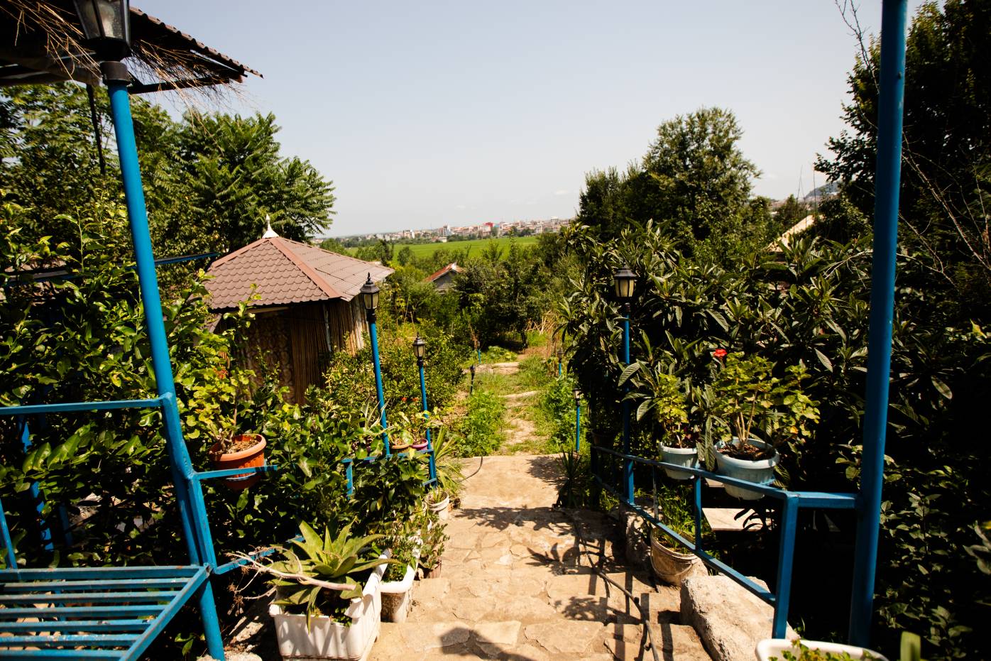 گالری تصاویر